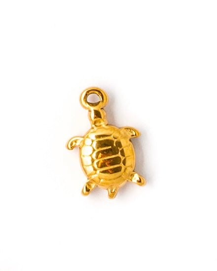 Charm tortuga
