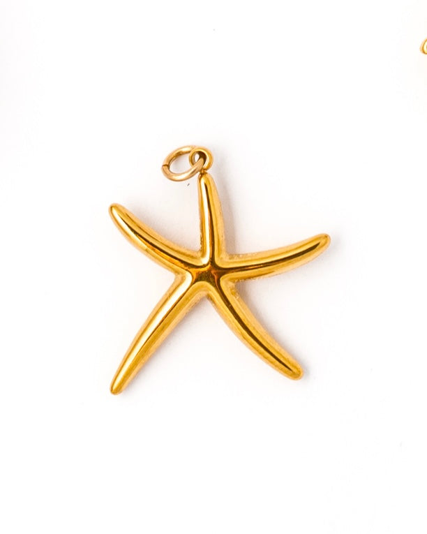 Estrella de mar