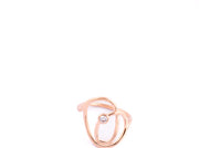 Anillo TAI