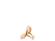 Anillo POPI