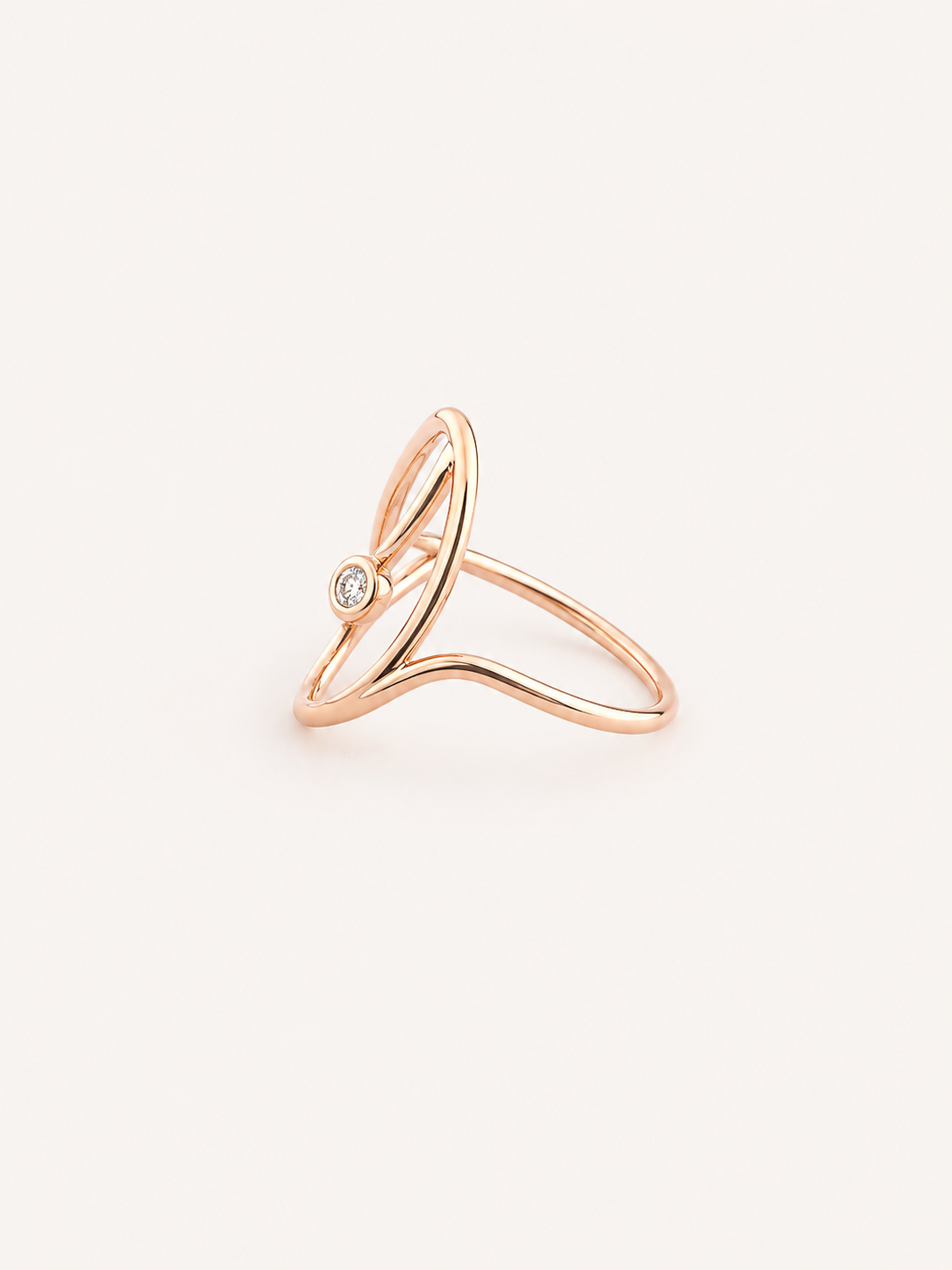 Anillo TAI