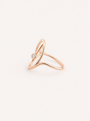 Anillo TAI