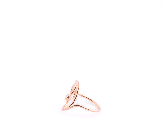 Anillo TAI