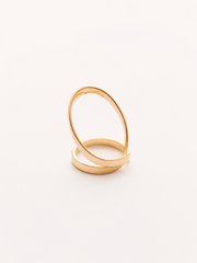 Anillo ALICE