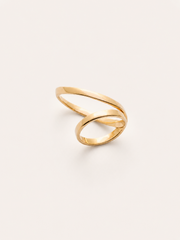 Anillo ALICE