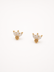 Aros REINA ZIRCONIA (la unidad)