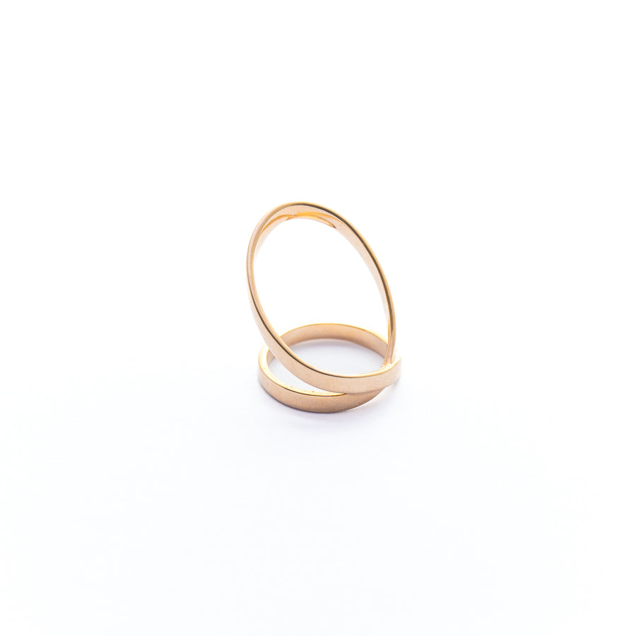 Anillo ALICE