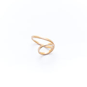 Anillo ALICE