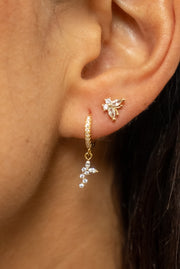 Argollas LUA
